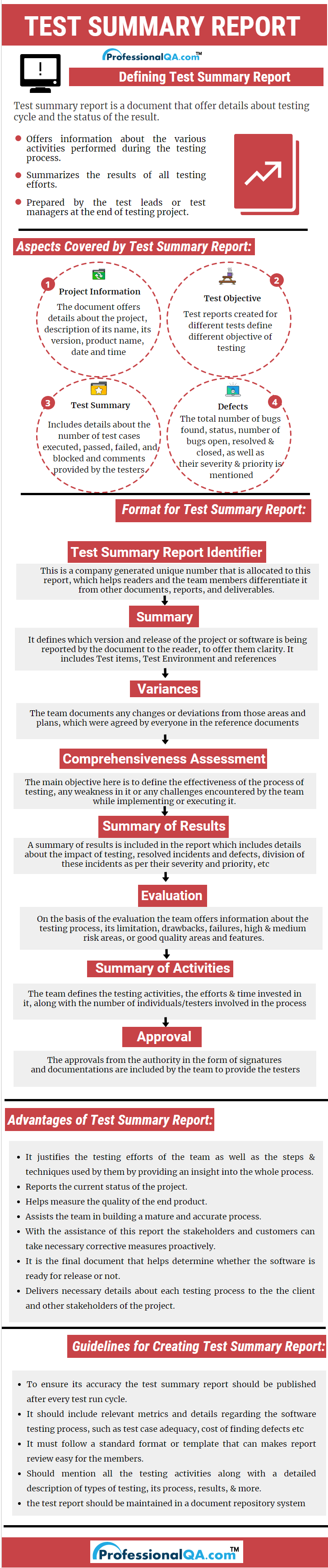 Test Summary Report Professionalqa